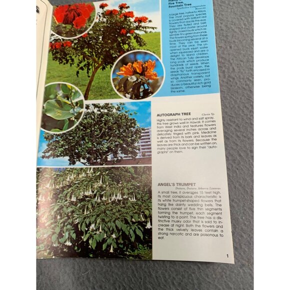 Hawaiis Flowering Trees Book by Doug Wallin Larry Witt - Guide To Tropical Trees - Picture 4 of 7